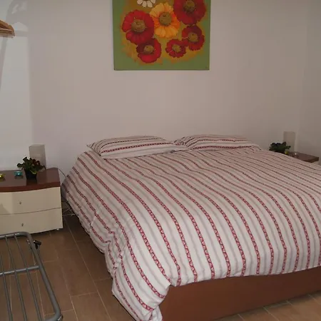 Domus Valentino *